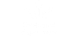 Celebrated Experiences logo