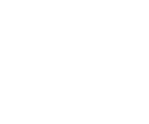 The Hotel logo